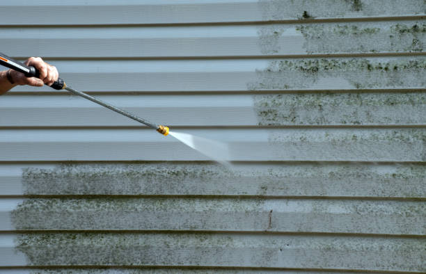 Best Gutter Cleaning in Boaz, WV